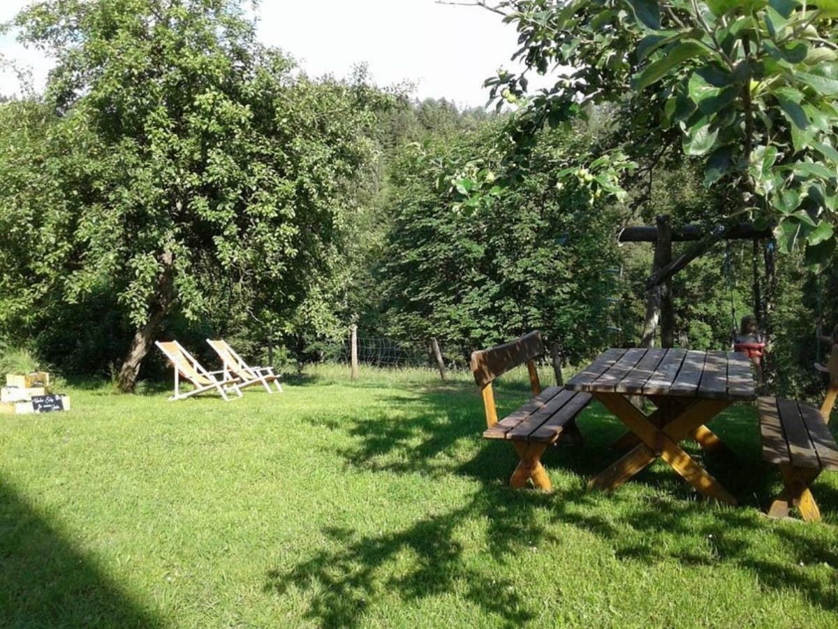 Familienbauernhof Glockriegl Villa Lunz am See Ngoại thất bức ảnh